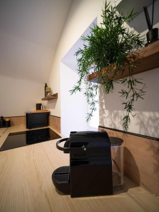 Le Cocon - Petit Studio 2 Couchages - Centre Historique Aubagne Eksteriør bilde